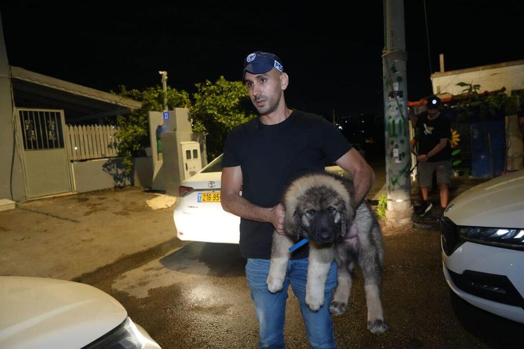  חשוד בהתעללות בבעל חיים בחוף הים בחיפה