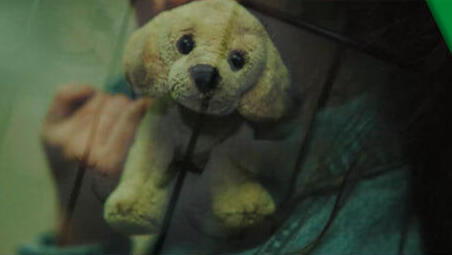 Кадр из ролика рекламы минсельхоза о собаках 