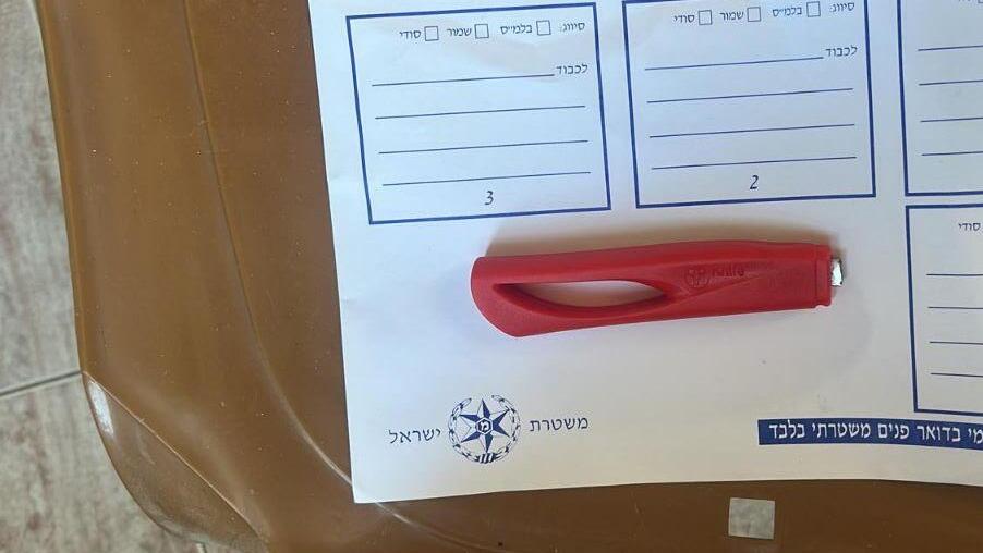 גבר חתך בעזרת סכין את פניה של אשתו