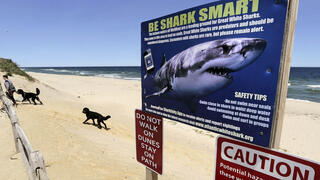שלט אזהרה מפני כרישים בחוף המזרחי בארה"ב