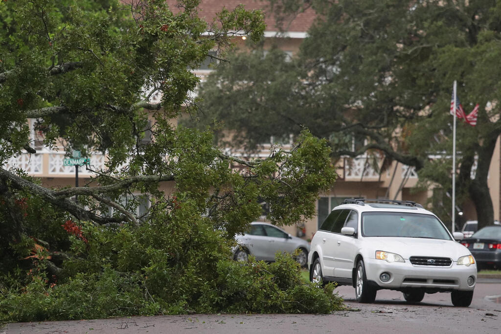 Tree down from winds as hurricane pounds Florida 