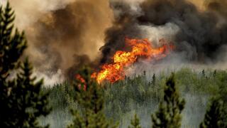 שריפות משתוללות בקנדה