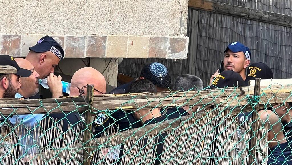 הזירה ברחוב ארלוזורוב, חיפה