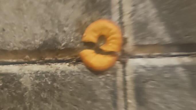 Хрустящий мини-бублик, часть которого попала малышке в дыхательные пути