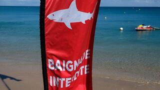 אזהרה מפני התקפות כרישים באחד מחופיה של קלדוניה החדשה