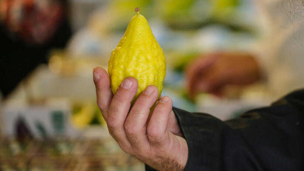 אתרוג