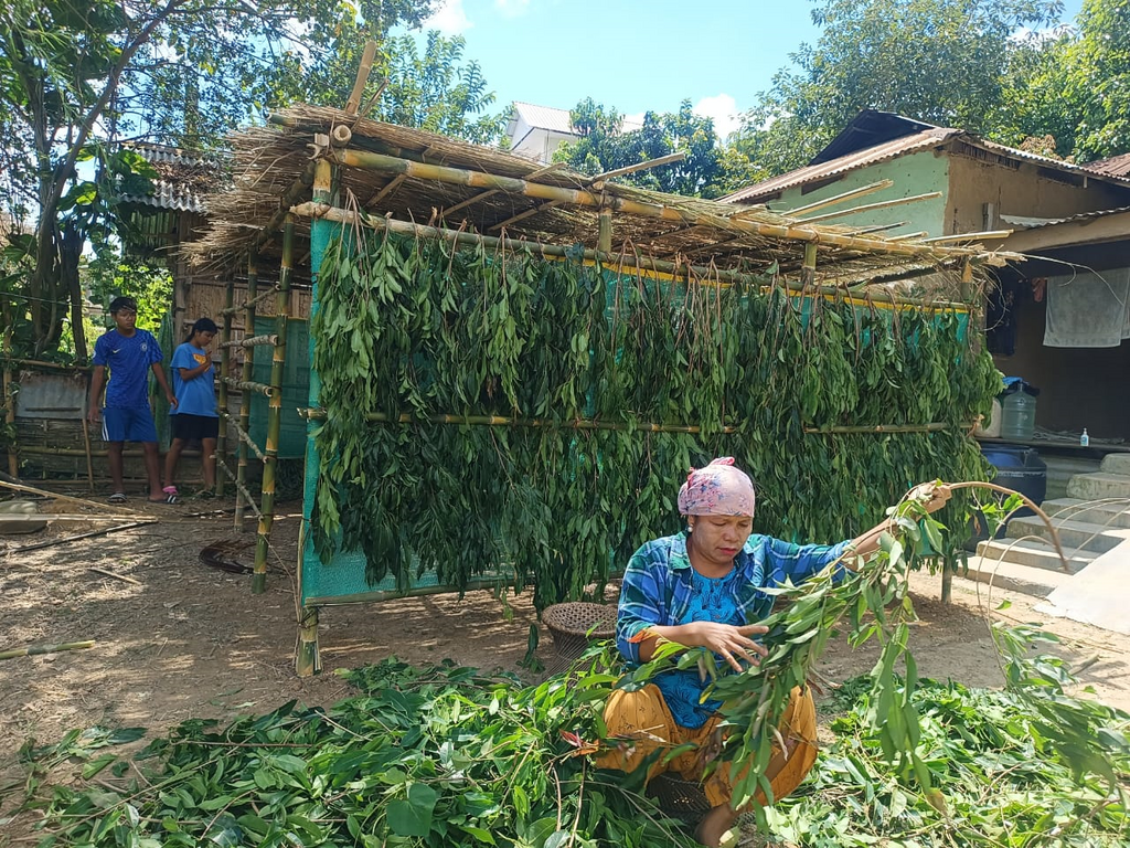 Celebrating Sukkot in northeastern India