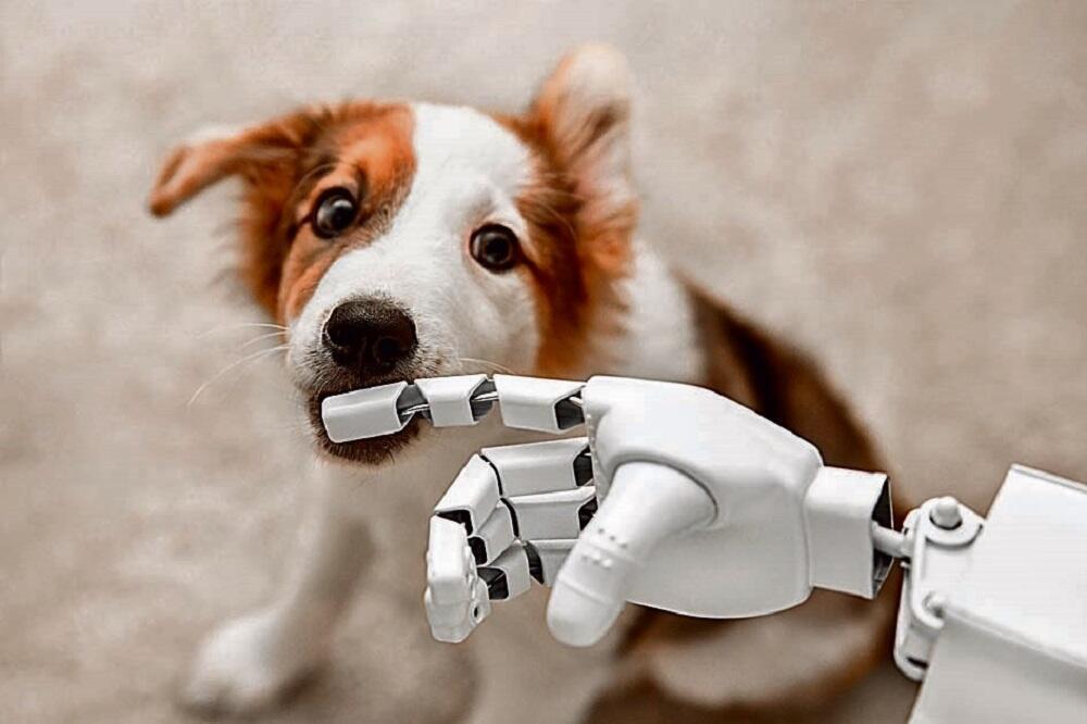 כלב ובינה מלאכותית