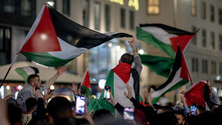 הפגנה פרו פלסטינית ב וינה אוסטריה שהתקיימה למרות איסור המשטרה