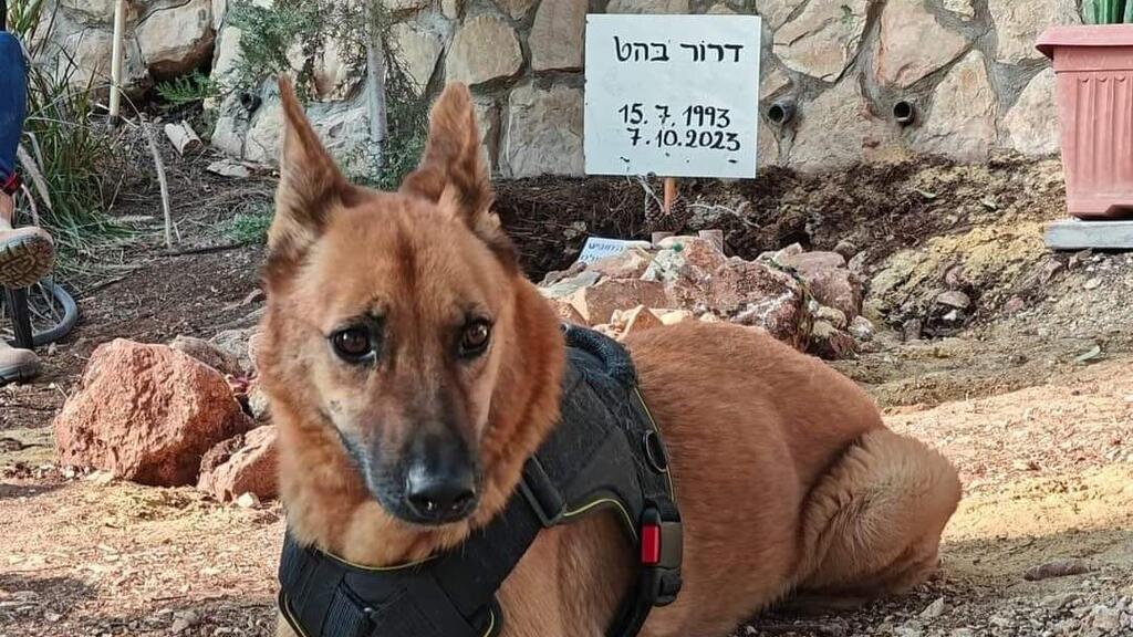 ריידר לא עוזב את הקבר