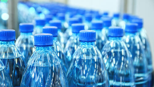 Фото: shutterstock