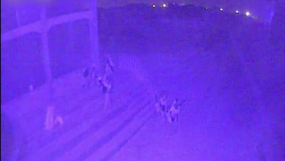 תיעוד: לוחמי שייטת 13 פשטו מהים והשמידו תשתיות טרור בדרום רצועת עזה