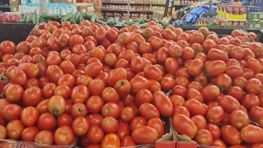 עגבניות