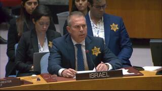 ארדן עונד טלאי צהוב במועצת הביטחון של האו"ם