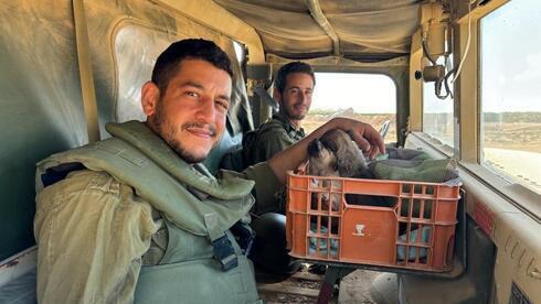 Саар Беркович и щенки Оз и Беэри (Фото: личный архив) Саар Беркович и щенки Оз и Беэри