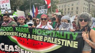 הפגנות פרו פלסטין בניו יורק של מסעדנים ושפים