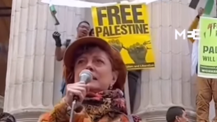סוזן סרנדון בהפגננה הפרו-פלסטינית בניו יורק