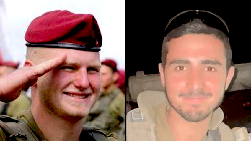 עדן פרוביזור,  שחר פרידמן 