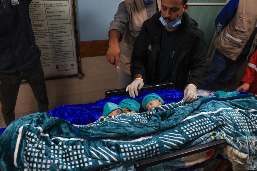 תינוקות פלסטינים פגים מפונים מבית החולים אל שיפא בעיר עזה למצרים