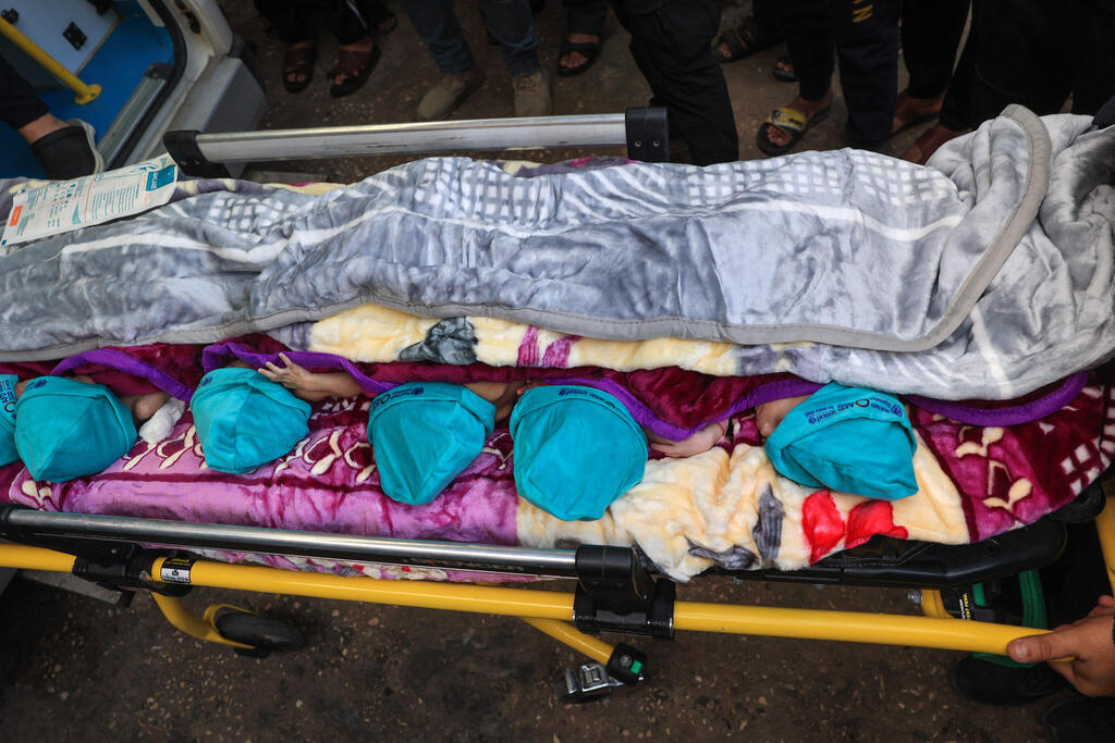 תינוקות פלסטינים פגים מפונים מבית החולים אל שיפא בעיר עזה למצרים