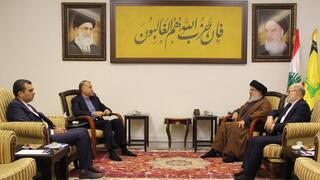 מזכ"ל חיזבאללה חסן נסראללה נפגש עם חוסיין אמיר עבדוללהיאן שר החוץ של איראן