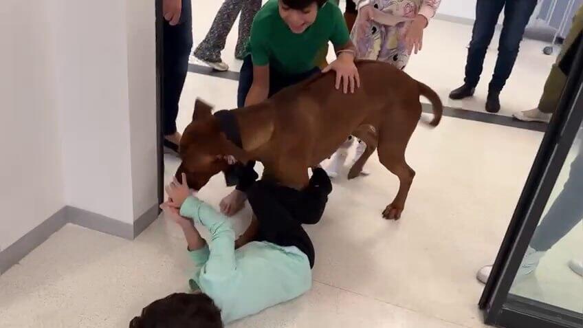 הילדים השבים, אוריה, יובל ועפרי ברודץ, נפגשו לראשונה מאז שבו ארצה, עם רודני, הכלב שלהם