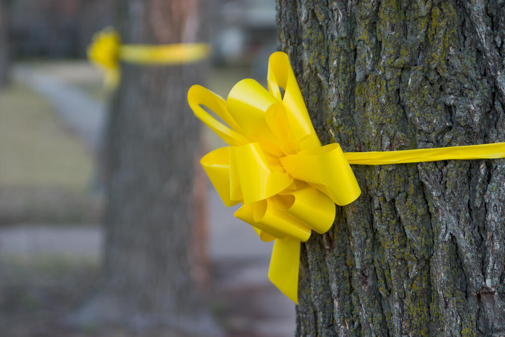 Желтые ленты на деревьях в США 