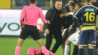 השופט שרוע על הדשא