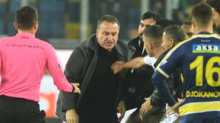 השופט שרוע על הדשא