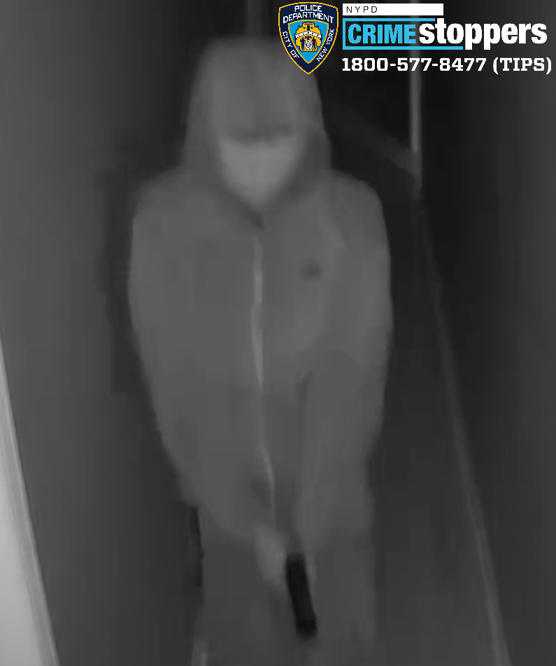  ביתן בסטטן איילנד שבניו יורק ישראלית ובתה הוכו ונשדדו על-ידי ארבעה חמושים רעולי פנים שפרצו לביתן בסטטן איילנד שבניו יורק 