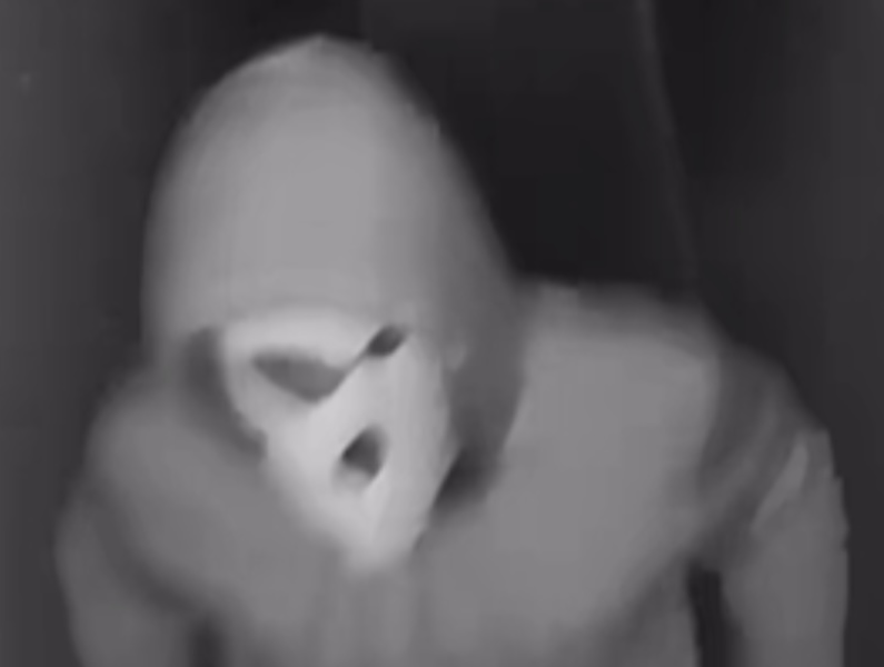  ביתן בסטטן איילנד שבניו יורק ישראלית ובתה הוכו ונשדדו על-ידי ארבעה חמושים רעולי פנים שפרצו לביתן בסטטן איילנד שבניו יורק 