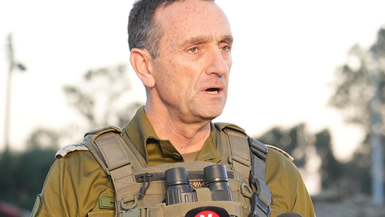 הרצי הלוי