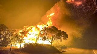 השריפות שכילו את יערותיה של אוסטרליה