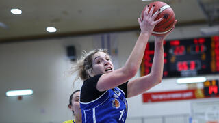 אדלמן בפעולה