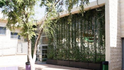 קיר ירוק להצללה במסגרת רטרופיט של המועצה הישראלית לבנייה ירוקה בבי''ס אל עומריה בטירה