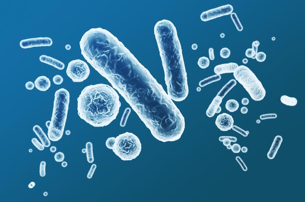 חיידקי מעיים מיקרוביום