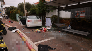 זירת הדריסה ברעננה, רחוב אחוזה