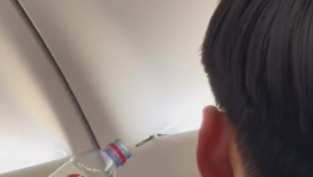 נחש במטוס של חברת אייר אסיה