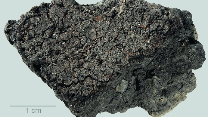 שרידי מזון על כלי החרס שהתגלו ביישוב הנאוליתי אולדנבורג אל איי 77 (Oldenburg LA 77)