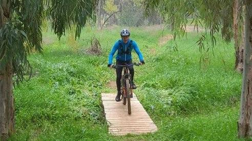 חיים ילין בבארי