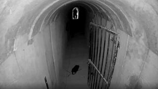 דובר צה"ל מציג את התיעוד של סינוואר