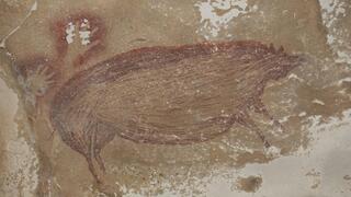 ציור של חזיר יבלות סולוואסי שהתגלה באינדונזיה ומתוארך כבן 45.5 אלף שנה, מה שהעניק לו את התואר ציור המערה העתיק ביותר בעולם