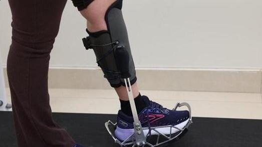 Innovative Technion device allows Portal to walk again