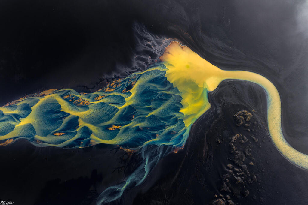 Spitzer's winning photograph in the World Nature Photography Awards (Photo: World Nature Photography Awards 2024 / MIKI SPITZER) הצילום הזוכה בקטגוריית Nature art בתחרות world nature photography awards