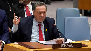 ישראל כץ במועצת הביטחון של האו"ם