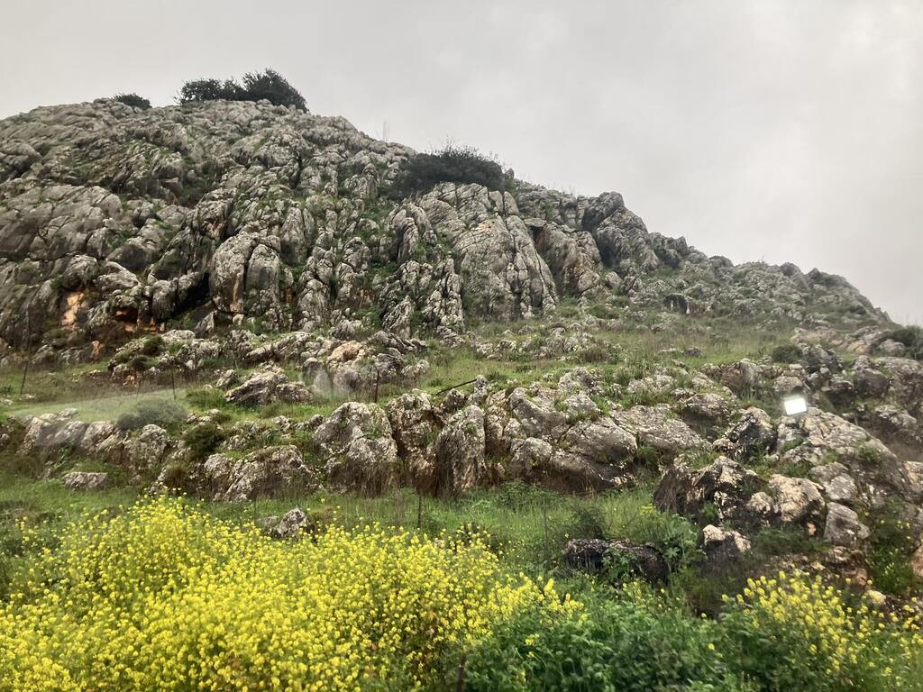 Фото: Эдуард Докс