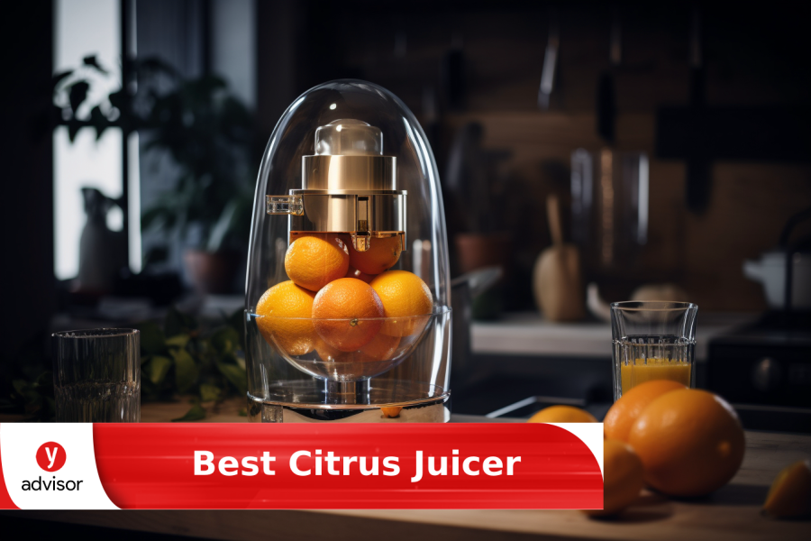 Best Citrus Juicer of 2024