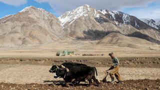 אפגניסטן מטיילים תיירים