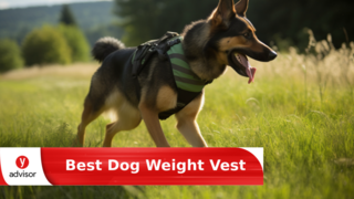 7 Best Selling Dog Weight Vests of 2024