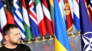 נשיא אוקראינה וולודימיר זלנסקי תמונת ארכיון דגלי חברות נאט"ו